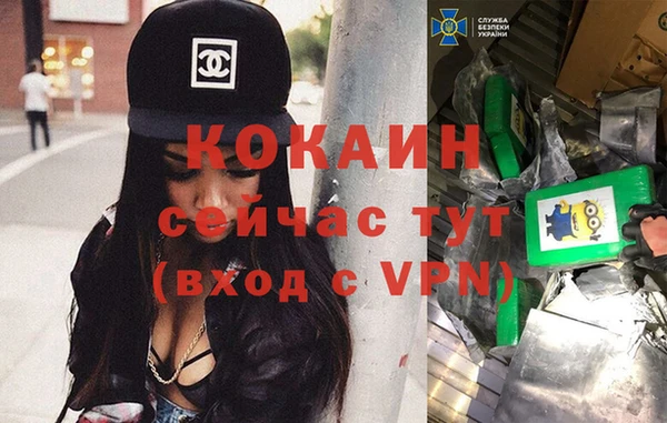 стафф Армянск