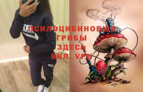 трава Арсеньев